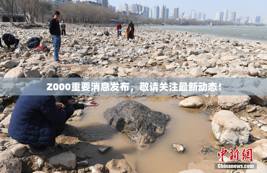 Z000重要消息发布，敬请关注最新动态！