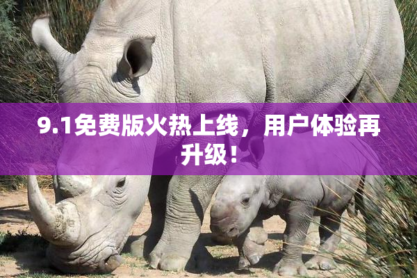 9.1免费版火热上线，用户体验再升级！