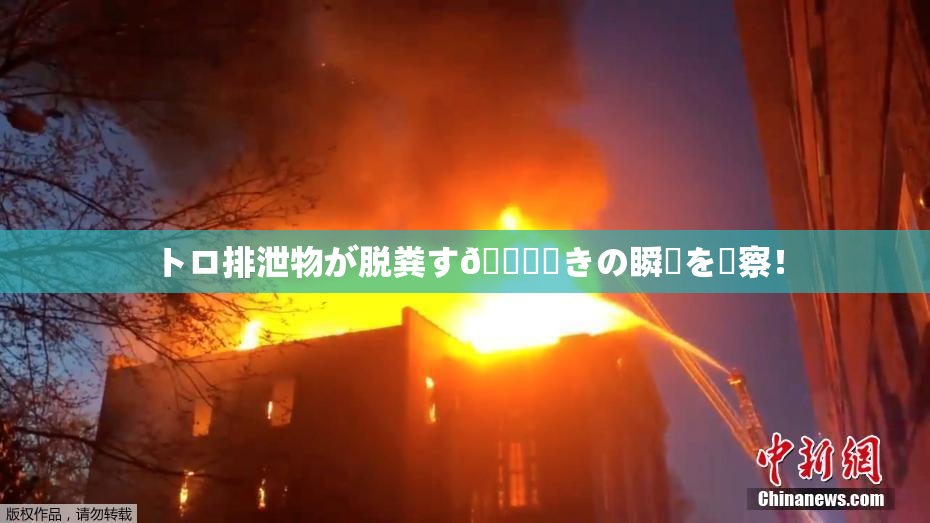 トロ排泄物が脱粪す🌃驚きの瞬間を観察！