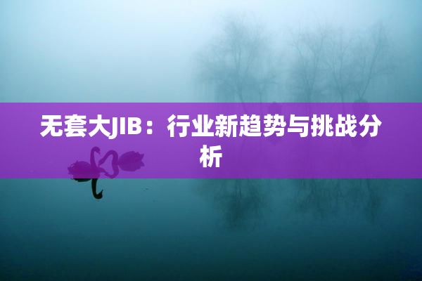 无套大JIB：行业新趋势与挑战分析