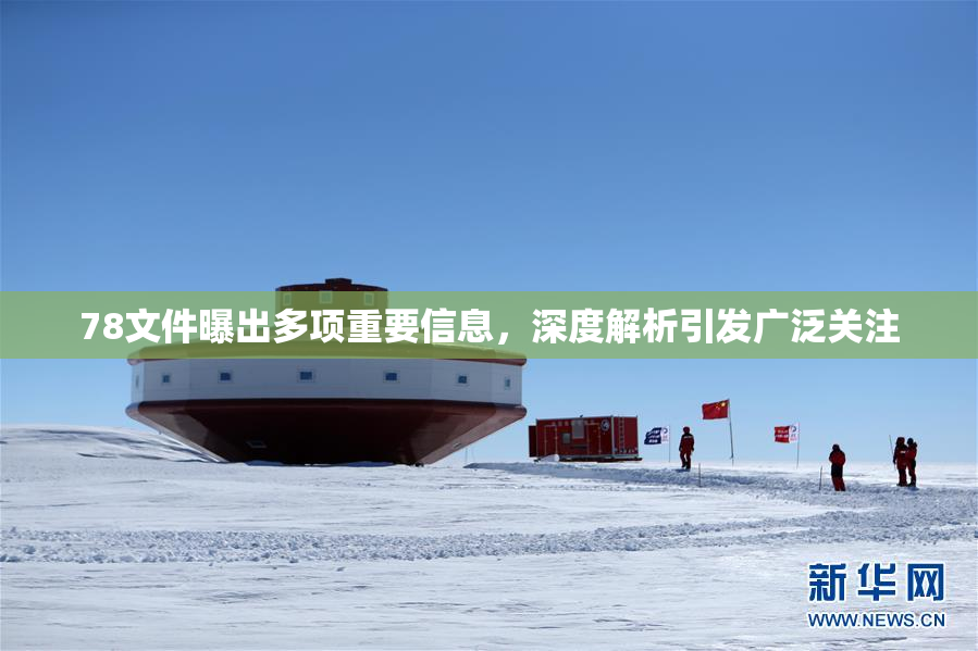 78文件曝出多项重要信息，深度解析引发广泛关注