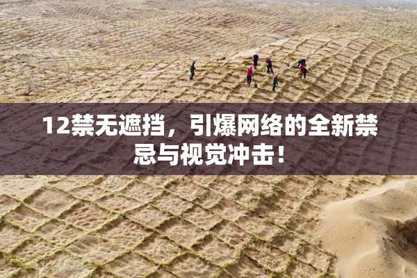 12禁无遮挡，引爆网络的全新禁忌与视觉冲击！