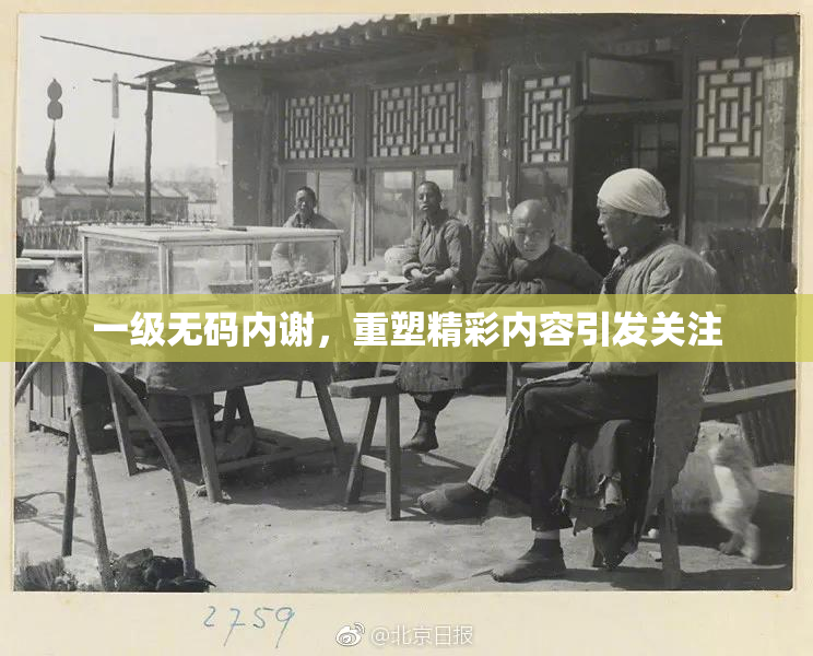 一级无码内谢，重塑精彩内容引发关注
