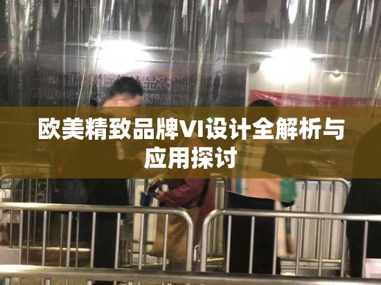 欧美精致品牌VI设计全解析与应用探讨