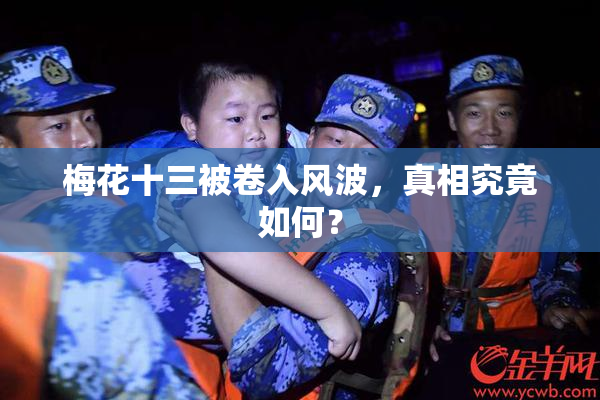 梅花十三被卷入风波，真相究竟如何？