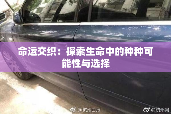 命运交织：探索生命中的种种可能性与选择
