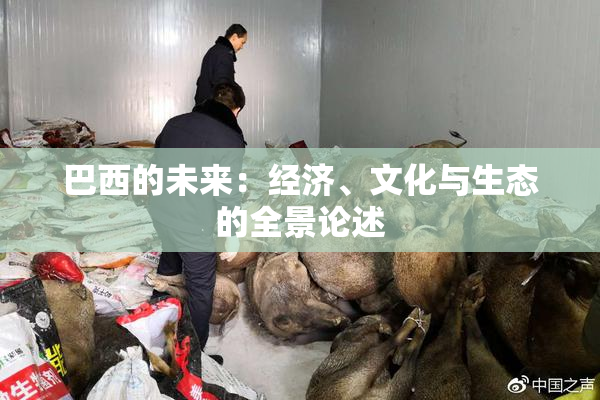 巴西的未来：经济、文化与生态的全景论述