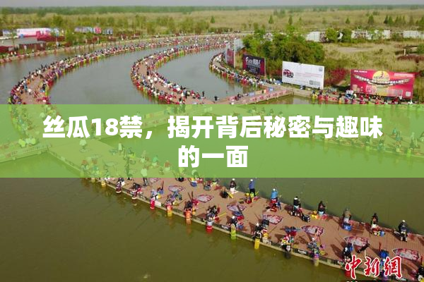 丝瓜18禁，揭开背后秘密与趣味的一面