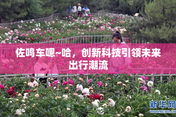 佐鸣车嗯~哈，创新科技引领未来出行潮流