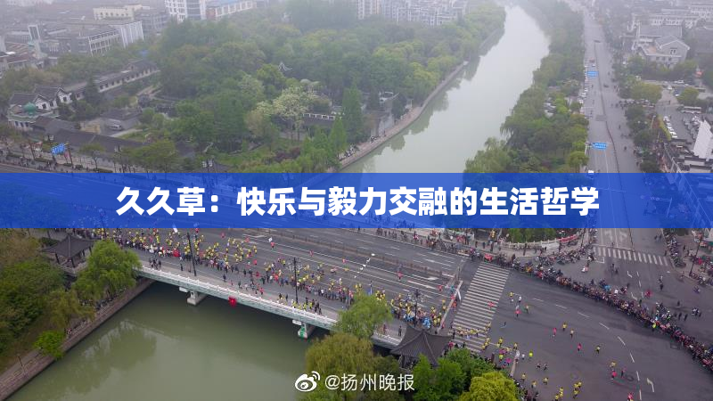 久久草：快乐与毅力交融的生活哲学