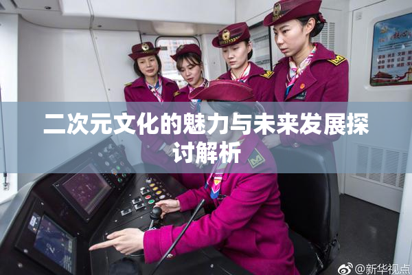 二次元文化的魅力与未来发展探讨解析