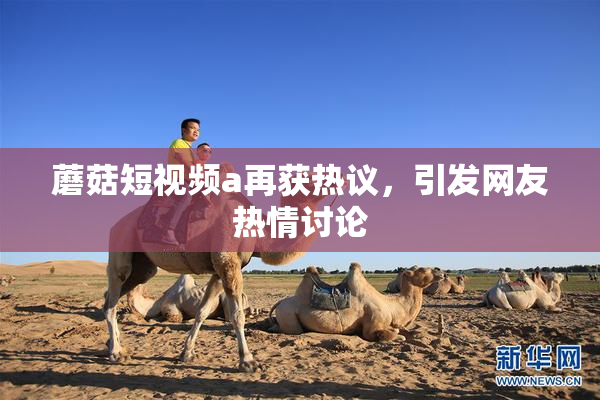 蘑菇短视频a再获热议，引发网友热情讨论