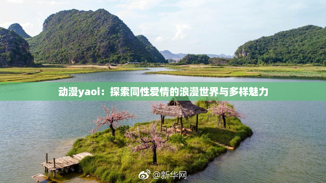 动漫yaoi：探索同性爱情的浪漫世界与多样魅力