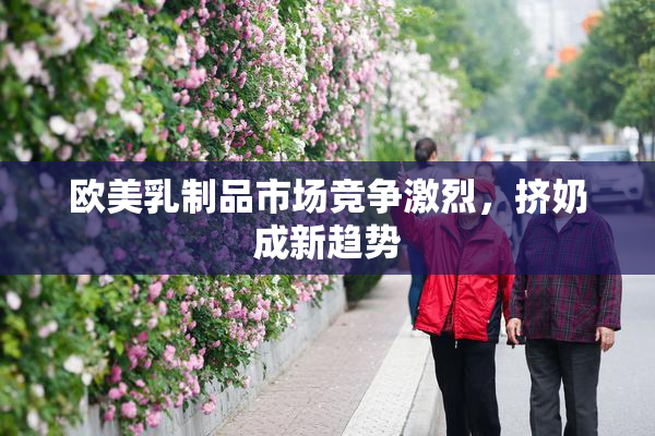 欧美乳制品市场竞争激烈，挤奶成新趋势