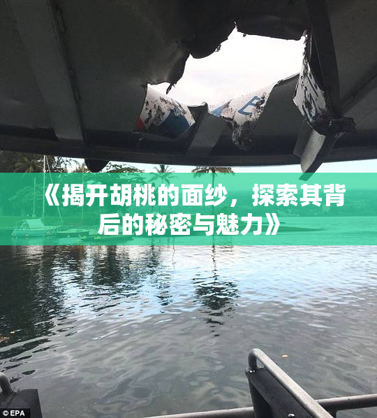 《揭开胡桃的面纱，探索其背后的秘密与魅力》