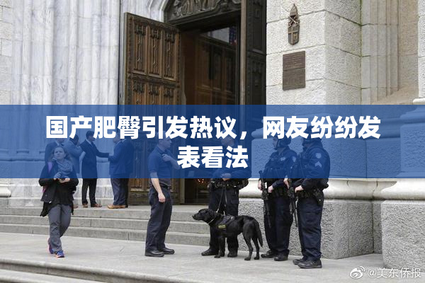 国产肥臀引发热议，网友纷纷发表看法
