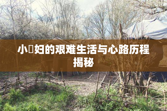 小婬妇的艰难生活与心路历程揭秘
