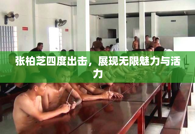 张柏芝四度出击，展现无限魅力与活力