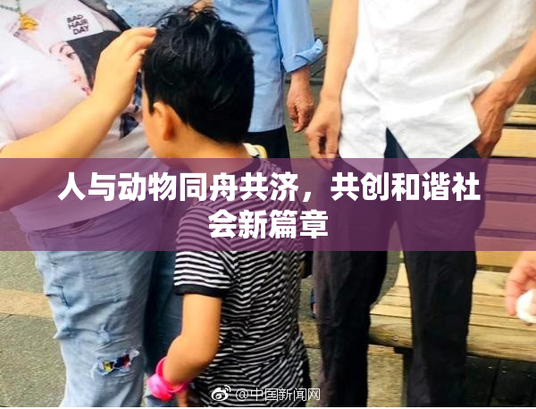 人与动物同舟共济，共创和谐社会新篇章