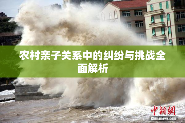 农村亲子关系中的纠纷与挑战全面解析