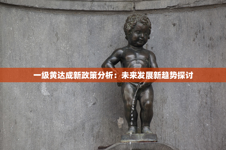 一级黄达成新政策分析：未来发展新趋势探讨