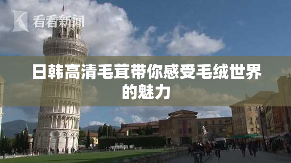 日韩高清毛茸带你感受毛绒世界的魅力