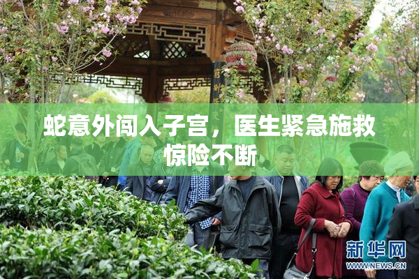蛇意外闯入子宫，医生紧急施救惊险不断