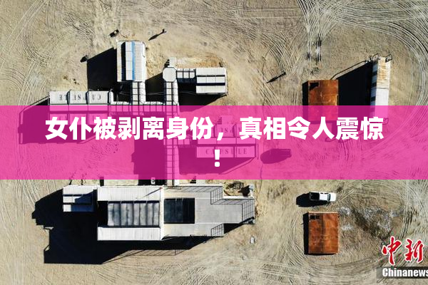 女仆被剥离身份，真相令人震惊！