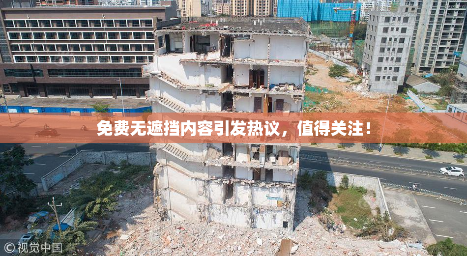 免费无遮挡内容引发热议，值得关注！