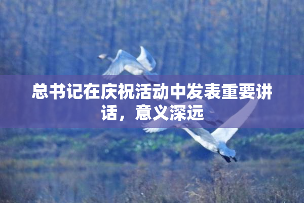 总书记在庆祝活动中发表重要讲话，意义深远