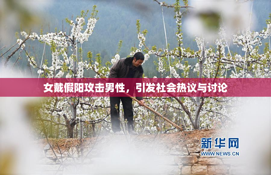 女戴假阳攻击男性，引发社会热议与讨论