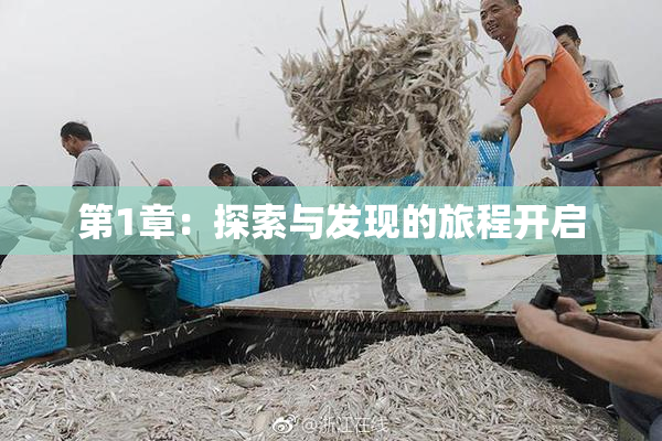 第1章：探索与发现的旅程开启