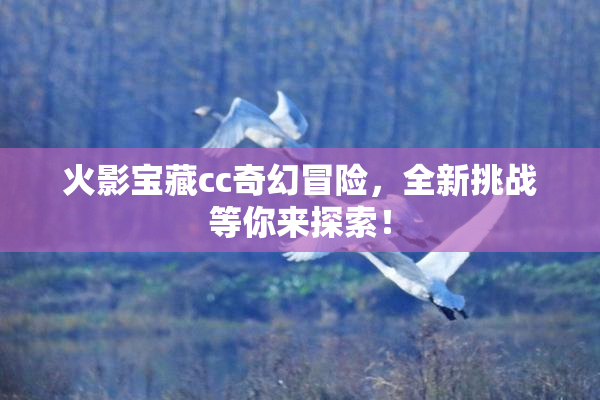 火影宝藏cc奇幻冒险，全新挑战等你来探索！