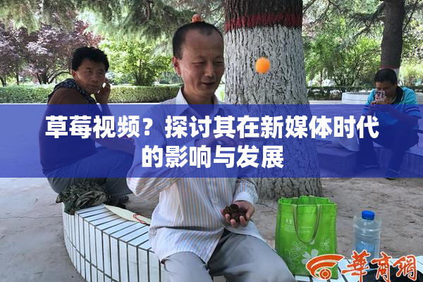 草莓视频？探讨其在新媒体时代的影响与发展