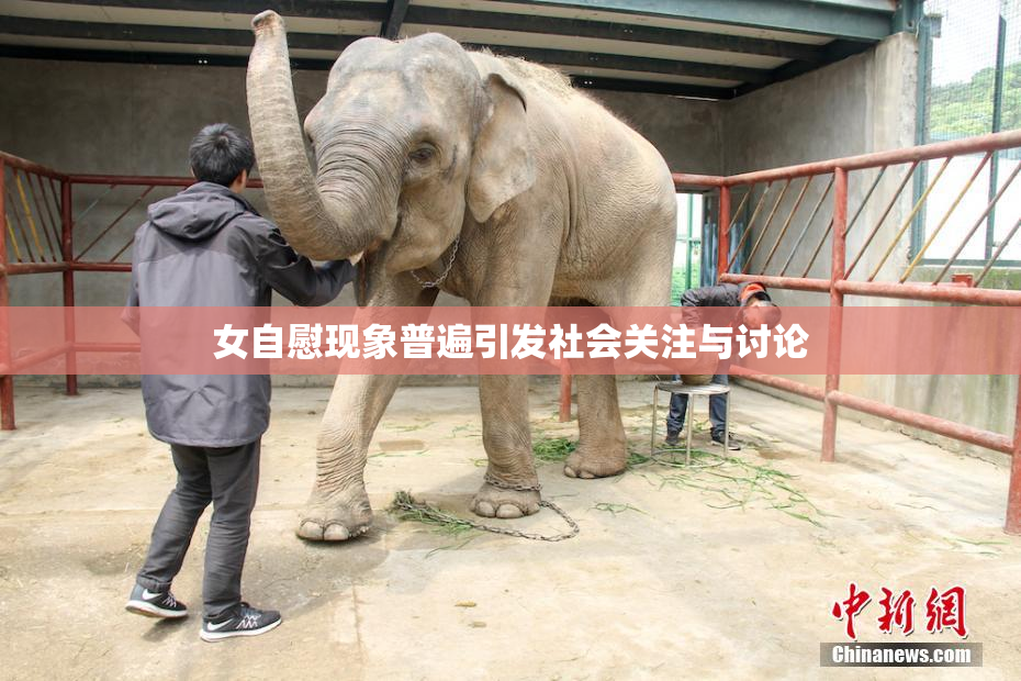 女自慰现象普遍引发社会关注与讨论