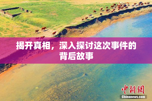 揭开真相，深入探讨这次事件的背后故事