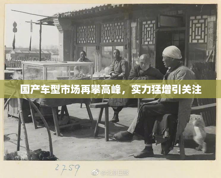 国产车型市场再攀高峰，实力猛增引关注