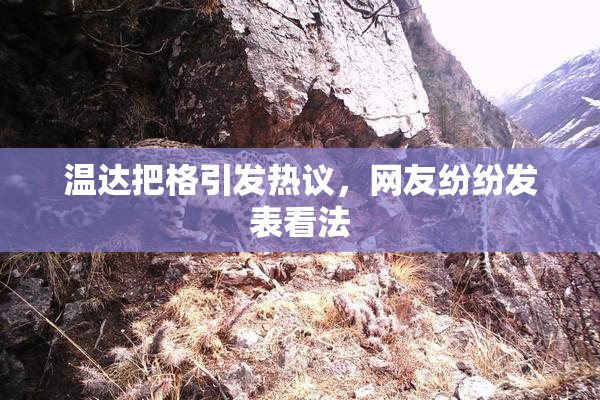 温达把格引发热议，网友纷纷发表看法