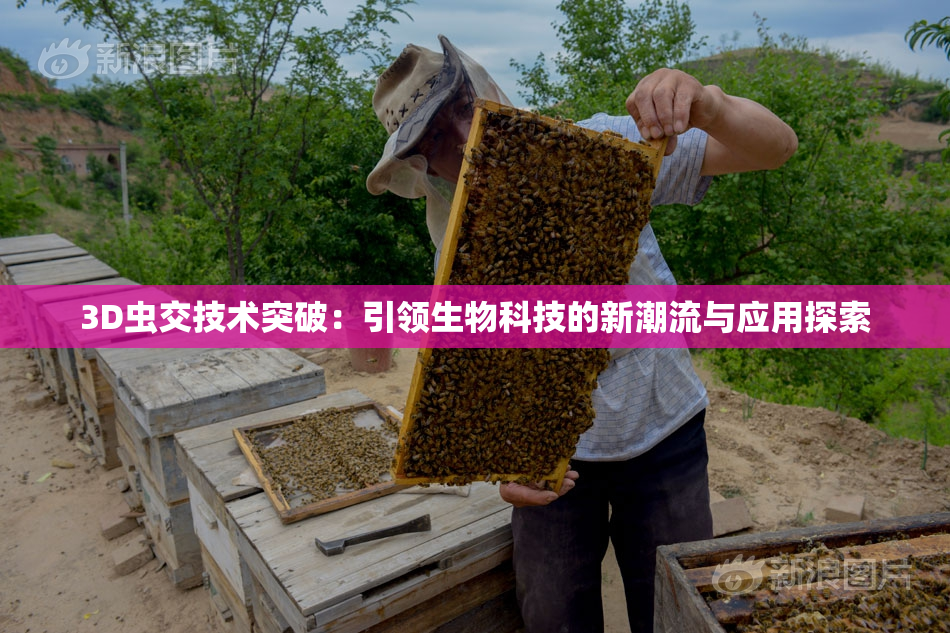 3D虫交技术突破：引领生物科技的新潮流与应用探索