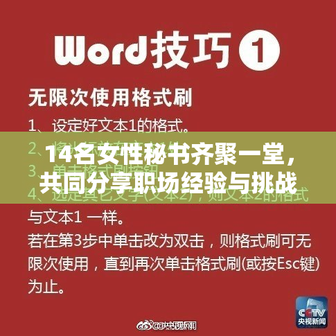 14名女性秘书齐聚一堂，共同分享职场经验与挑战