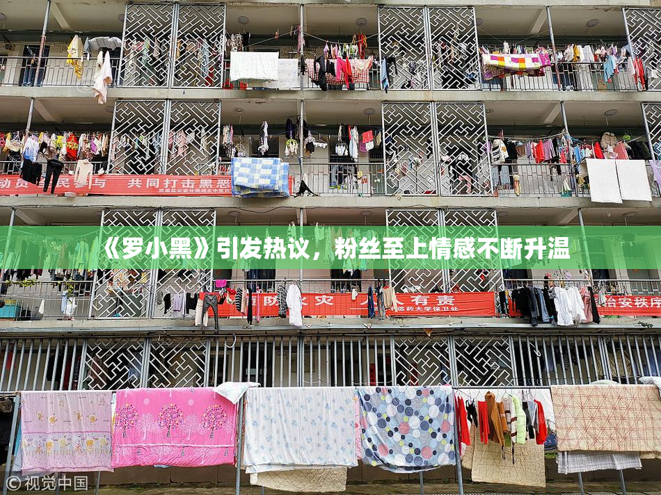 《罗小黑》引发热议，粉丝至上情感不断升温