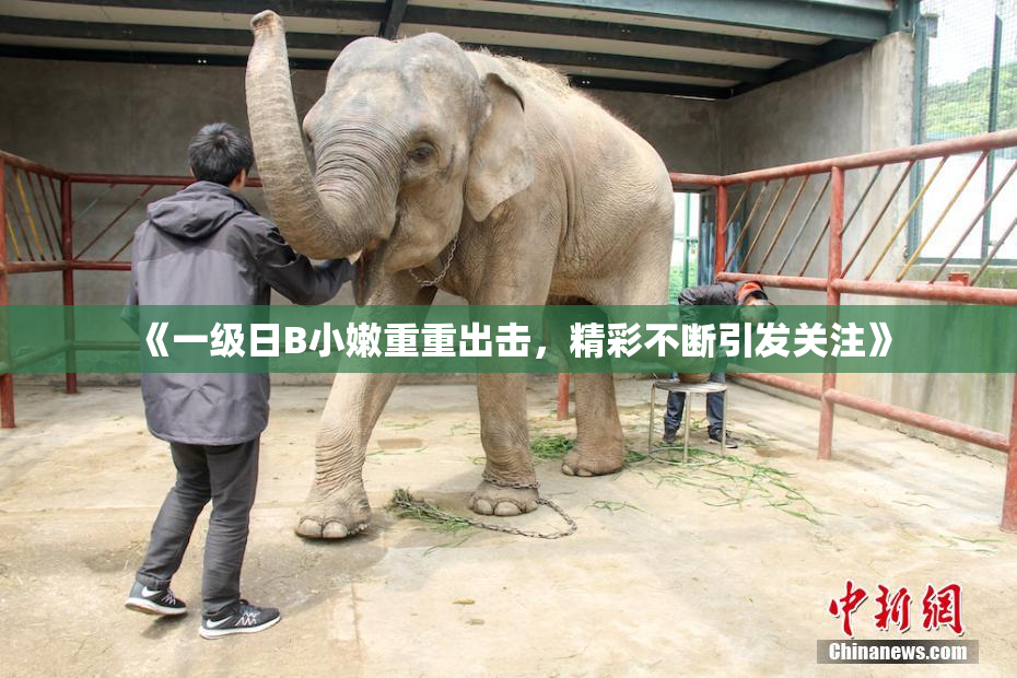 《一级日B小嫩重重出击，精彩不断引发关注》