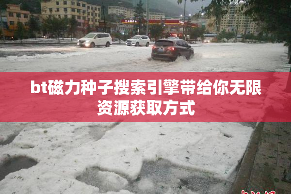 bt磁力种子搜索引擎带给你无限资源获取方式