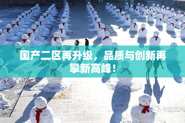 国产二区再升级，品质与创新再攀新高峰！