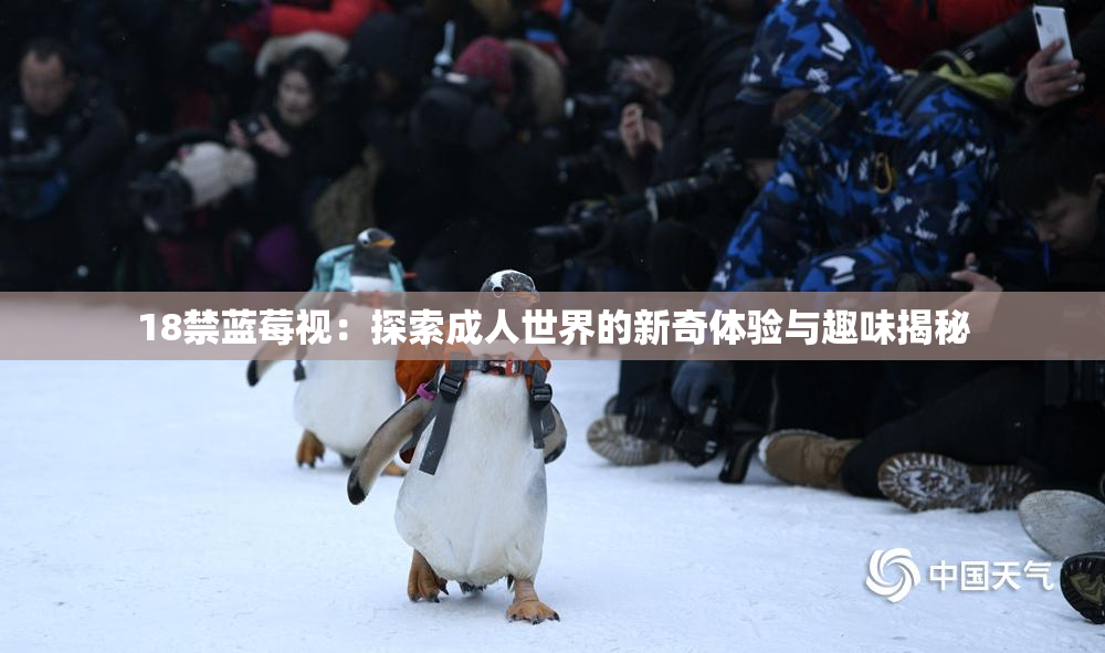 18禁蓝莓视：探索成人世界的新奇体验与趣味揭秘