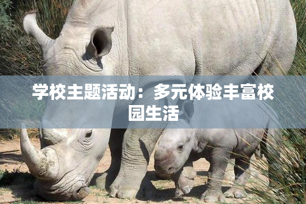 学校主题活动：多元体验丰富校园生活