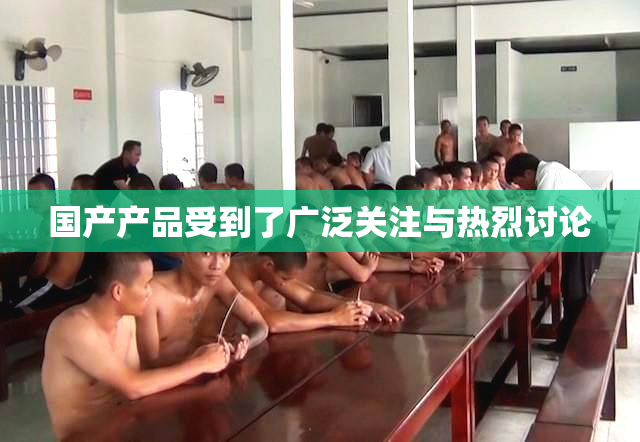 国产产品受到了广泛关注与热烈讨论