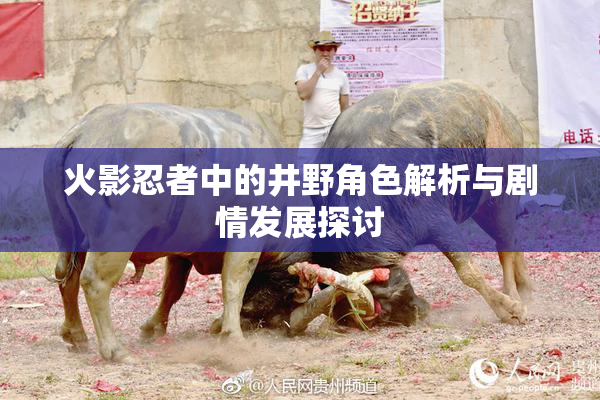 火影忍者中的井野角色解析与剧情发展探讨