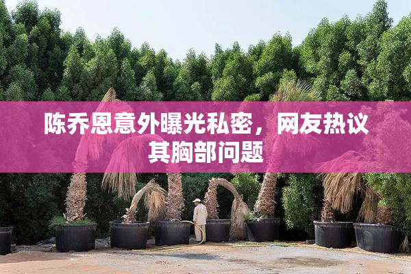 陈乔恩意外曝光私密，网友热议其胸部问题
