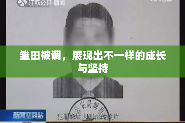 雏田被调，展现出不一样的成长与坚持